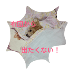 [LINEスタンプ] やる気なさすぎ。チワプー