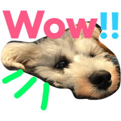 [LINEスタンプ] ラニとカイ