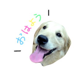 [LINEスタンプ] レオとルル。