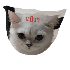 [LINEスタンプ] Kiki And friends