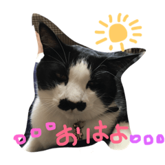 [LINEスタンプ] fukuchanpon3