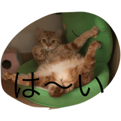 [LINEスタンプ] ゆうじろう、りん、ゆき、めい
