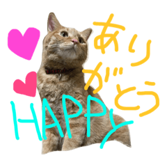 [LINEスタンプ] ムギムギライフ