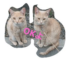 [LINEスタンプ] tarokomu