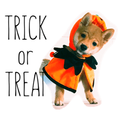[LINEスタンプ] むぎときなこ 2