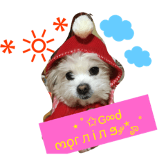 [LINEスタンプ] にゃにゃ！