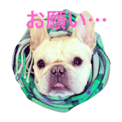 [LINEスタンプ] 肉かつらおじさん♂さくらの日常③