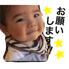 [LINEスタンプ] うちの可愛い息子