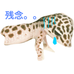 [LINEスタンプ] こひろスタンプ 2