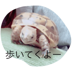 [LINEスタンプ] BANNyo