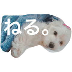 [LINEスタンプ] エステラ