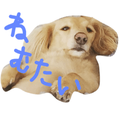 [LINEスタンプ] めんまのめんちゃん2