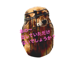 [LINEスタンプ] うちのケリーがすいません