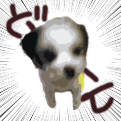 [LINEスタンプ] もふ犬の気まぐれすたんぷ