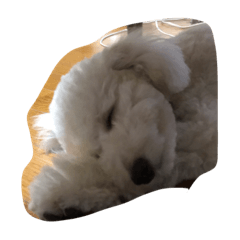 [LINEスタンプ] 風太君です