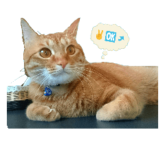 [LINEスタンプ] 猫のピース
