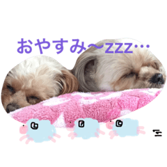 [LINEスタンプ] ピノたんユニたん