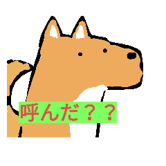 [LINEスタンプ] 動物たん