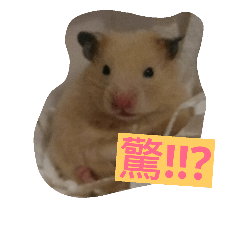 [LINEスタンプ] cute mouse by Peipei