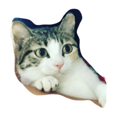 [LINEスタンプ] Dude it's me.