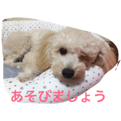 [LINEスタンプ] くそかわ