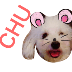 [LINEスタンプ] きなこな毎日