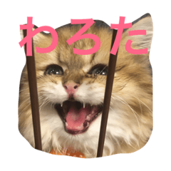 [LINEスタンプ] ぼののほのぼのすたんぷ