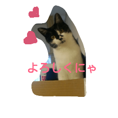 [LINEスタンプ] まーにゃんに任せろ