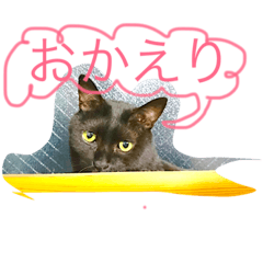 [LINEスタンプ] パピヨンとにゃんこ