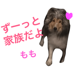 [LINEスタンプ] ももご