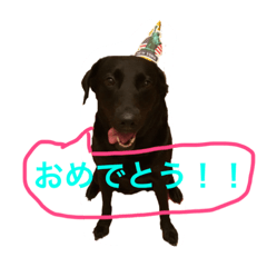 [LINEスタンプ] ペット達三年二組