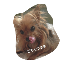 [LINEスタンプ] petit 2