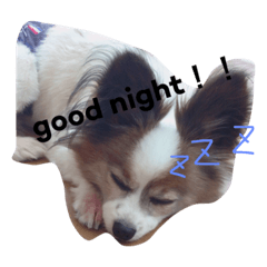 [LINEスタンプ] はまかな