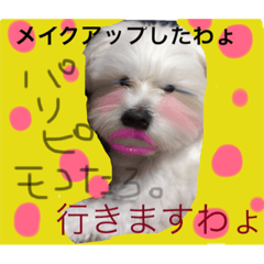[LINEスタンプ] モコたろ。