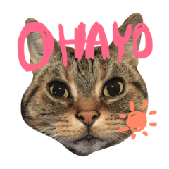 [LINEスタンプ] MomiMoca