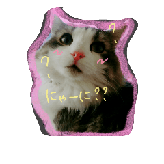 [LINEスタンプ] にゃんわんず