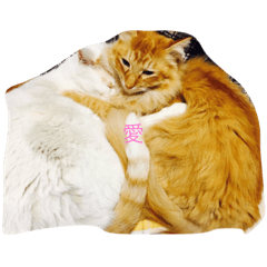 [LINEスタンプ] アントン＆じゅにあ