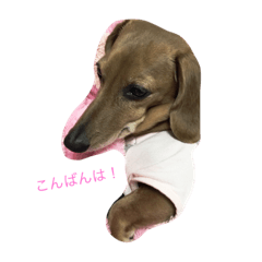 [LINEスタンプ] あみぴぃ