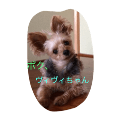 [LINEスタンプ] ヴィヴィ