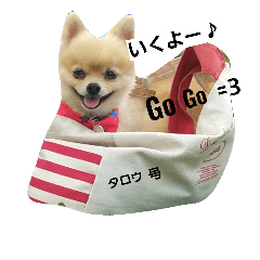 [LINEスタンプ] ぶちゃかわタロウさん