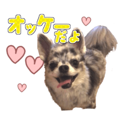 [LINEスタンプ] megurui