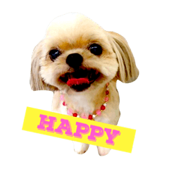 [LINEスタンプ] うちのナナちゃん、ちょっとビビ