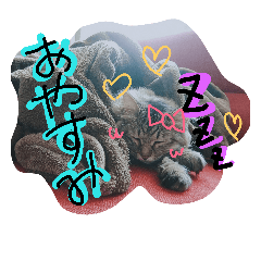 [LINEスタンプ] ショコちゃんスタンプ