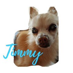 [LINEスタンプ] Timmy-aiai