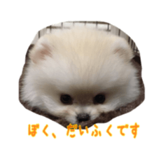 [LINEスタンプ] だいふくの日常