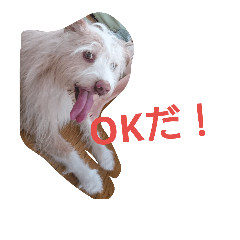 [LINEスタンプ] くーすたんぷ