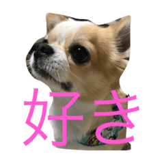 [LINEスタンプ] ラブの気持ち