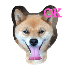 [LINEスタンプ] 吉田家のチビ