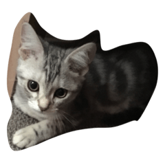 [LINEスタンプ] にゃんこにゃんにゃんこ3
