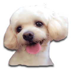[LINEスタンプ] Happy Nulak